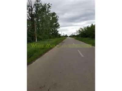 Teren 34500 mp de vanzare, com Teiu, jud Arges - foto 9