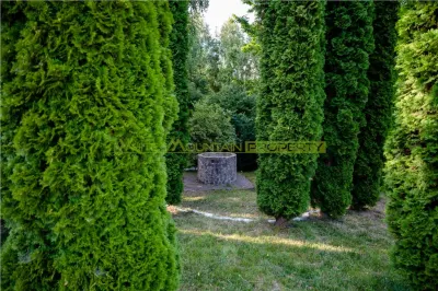 Complex turistic 18 camere, piscina si iaz, de vanzare, Rasnov - Glajarie, jud Brasov, negociabil - foto 5