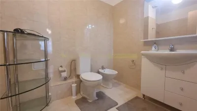 Apartament 3 camere, inchiriere lunga durata, Herastrau - foto 12