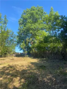 Teren 2600 mp de vanzare, Campina, jud Prahova - Draganeasa