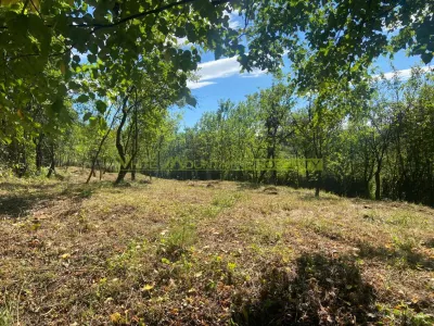 Teren 2600 mp de vanzare, Campina, jud Prahova - foto 2