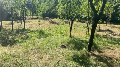 Teren 2600 mp de vanzare, Campina, jud Prahova - foto 18