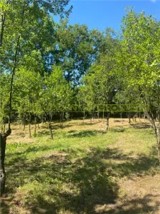 Teren 2600 mp de vanzare, Campina, jud Prahova - foto 9