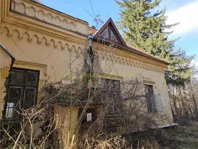 Castel Zichy de vanzare in Oradea, Bihor - foto 7