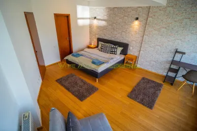 Apartament 2 camere, inchiriere lunga durata, Herastrau - foto 11