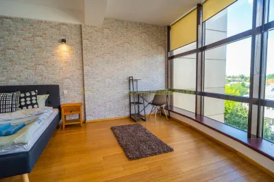 Apartament 2 camere, inchiriere lunga durata, Herastrau - foto 13