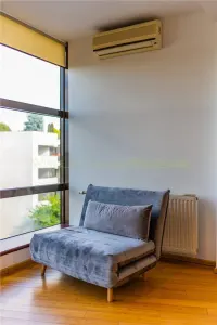 Apartament 2 camere, inchiriere lunga durata, Herastrau - foto 5