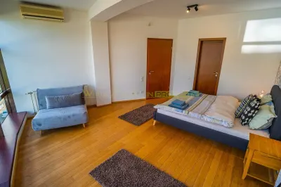 Apartament 2 camere, inchiriere lunga durata, Herastrau - foto 10