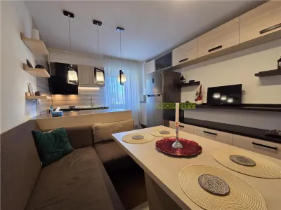 Apartament spatios cu 2 camere Parcul Trandafirilor Racadau - foto 12
