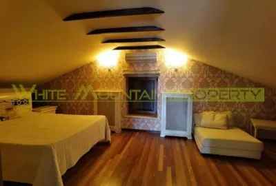 Vila 5 camere, inchiriere lunga durata, Iancu Nicolae - foto 14
