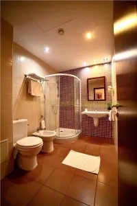 Timisoara, OPORTUNITATE INVESTITIE, hotel, clinica sau azil, 41 camere - foto 5