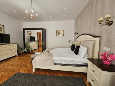 Apartament superb in Centrul Istoric - pretabil regim hotelier - foto 6