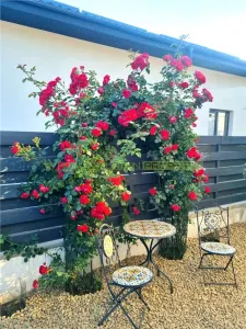 Buftea, casa 4 camere - foto 16