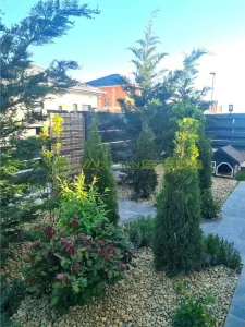 Buftea, casa 4 camere - foto 21