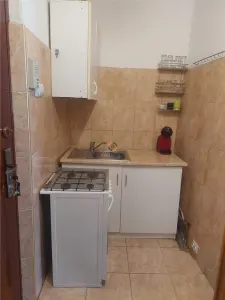 Garsoniera etaj 3 Zona Buziasului - foto 5