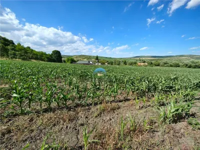 Teren intravilan de vanzare ideal pentru investitie - foto 5