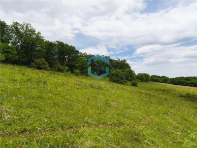 Teren vanzare Centura Donath Nord, 2900 mp - foto 2