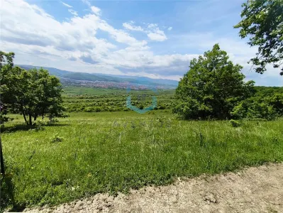 Teren vanzare Centura Donath Nord, 2900 mp - foto 14