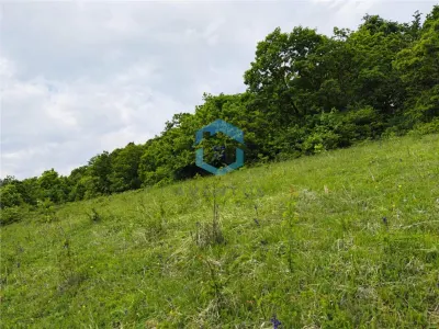 Teren vanzare Centura Donath Nord, 2900 mp - foto 8