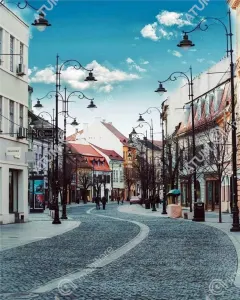 De inchiriat spatiu comercial cu destinatie de alimentatie public in zona Balcescu din Sibiu - foto 2