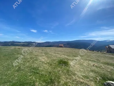 Teren intravilan 3000 mp cu utilitati de vanzare in Paltinis judet Sibiu - foto 2