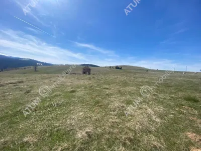 Teren intravilan 3000 mp cu utilitati de vanzare in Paltinis judet Sibiu - foto 6