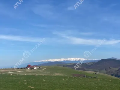 Teren intravilan 3000 mp cu utilitati de vanzare in Paltinis judet Sibiu - foto 8