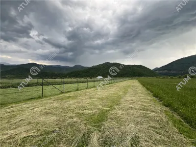 De vanzare teren intravilan de 3477 mp in Boita - foto 5