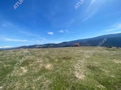 De vanzare teren intravilan de 3000 mp cu utiltati si PUZ in Paltinis Judet Sibiu - foto 5