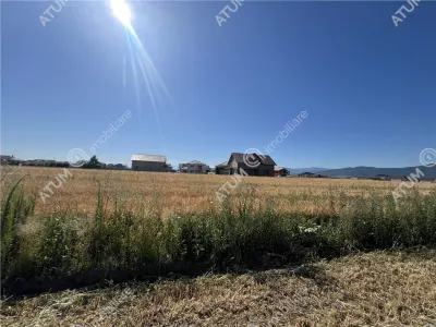 De vanzare teren cu PUZ in suprafata de 3752 mp situat in Cristian - foto 4