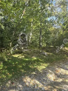 Teren de vanzare 5134 mp pe Valea Lotrului com Malaia - foto 3
