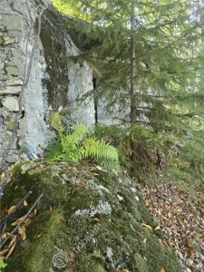 Teren de vanzare 5134 mp pe Valea Lotrului com Malaia - foto 5