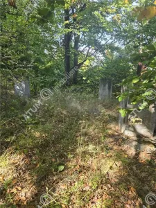 Teren de vanzare 5134 mp pe Valea Lotrului com Malaia - foto 6