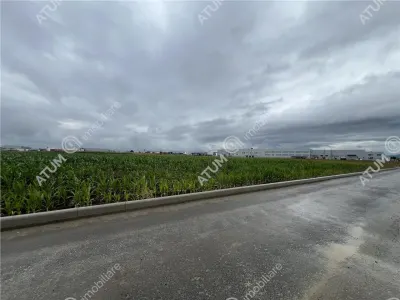 De vanzare teren industrial de 36122 mp cu PUZ situat in zona industriala Vest din Sibiu - foto 2