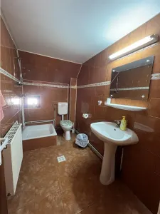 De vanzare pensiune de 7 camere cu 5 bai si teren de 377mp  situata in Paltinis cota 1440 m - foto 12