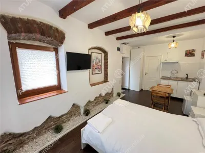 De vanzare 2 apartamente la casa in zona ultracentrala in Sibiu - Sibiu
