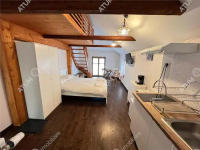 De vanzare casa ultracentrala compusa din 2 garsoniere situata langa Teatru Gong din Sibiu - foto 5