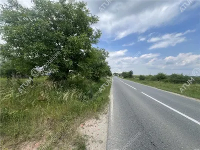 De vanzare teren curti constructii de 20200 mp in Daia - foto 1