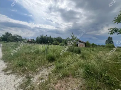 De vanzare teren curti constructii de 20200 mp in Daia - foto 3
