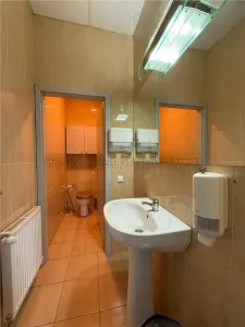 Spatiu comercial in Selimbar-Promenada Mall - foto 22