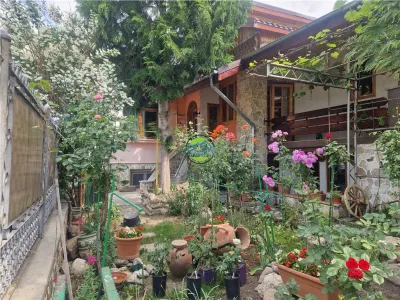 Central - Apartament 2 Cam. Demisol - de Inchiriat - Ploiesti