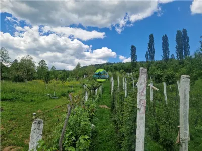PRAJANI - SLANIC PRAHOVA - TEREN DE VANZARE - foto 11