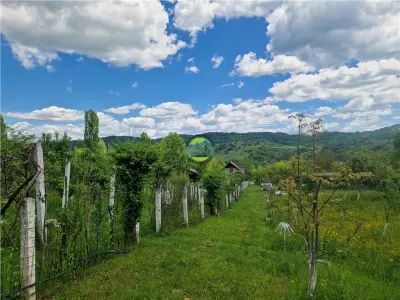 PRAJANI - SLANIC PRAHOVA - TEREN DE VANZARE - foto 13