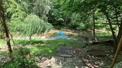 Cabana Valea Rametului,58000 euro - foto 2