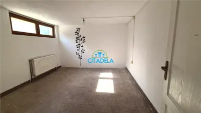 Casa de vanzare 4 camere ,garaj 410 mp teren ,Alba Micesti - foto 19