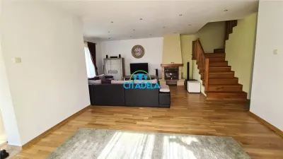 Casa de vanzare 4 camere ,garaj 410 mp teren ,Alba Micesti - foto 3