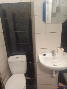 Apartament cu 2 camere, proaspat renovat - Solidaritatii - foto 3