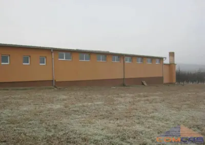 Hala de vanzare cu 20 de ari zona intravilana - foto 2