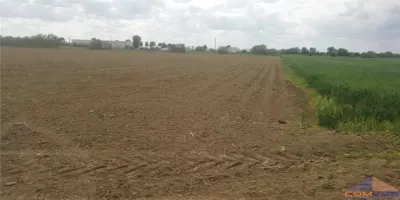 Teren extravilan Careiului - foto 3