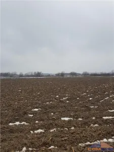 Teren extravilan Careiului - foto 5